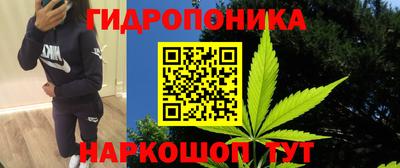скорость Жуковский