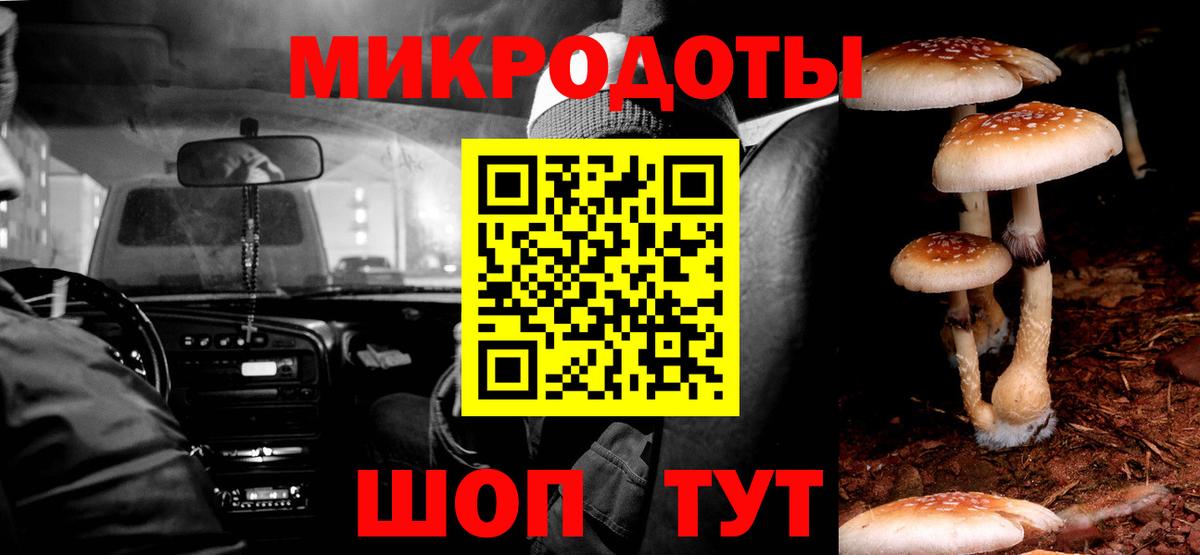 Псилоцибиновые грибы Psilocybe  Вход с VPN  Минусинск 